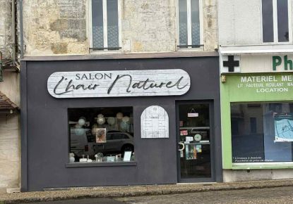 vente Ensemble immobilier Mussidan