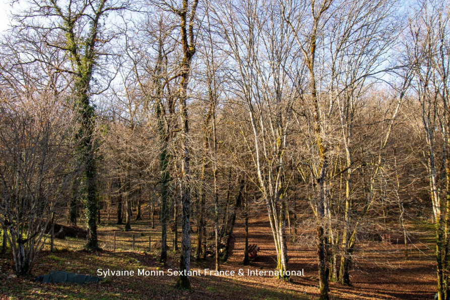 vente Maison individuelle Sarliac Sur L'isle - Photo 7