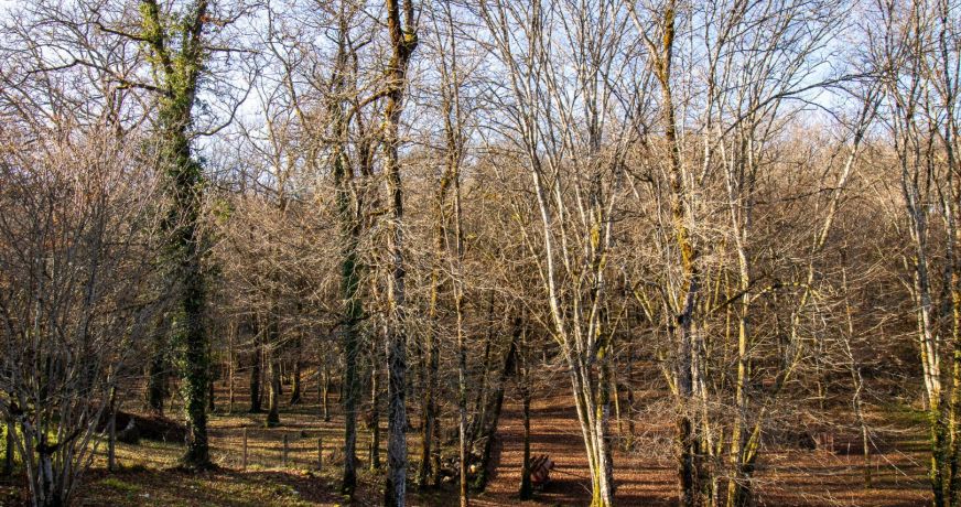 vente Maison individuelle Sarliac Sur L'isle