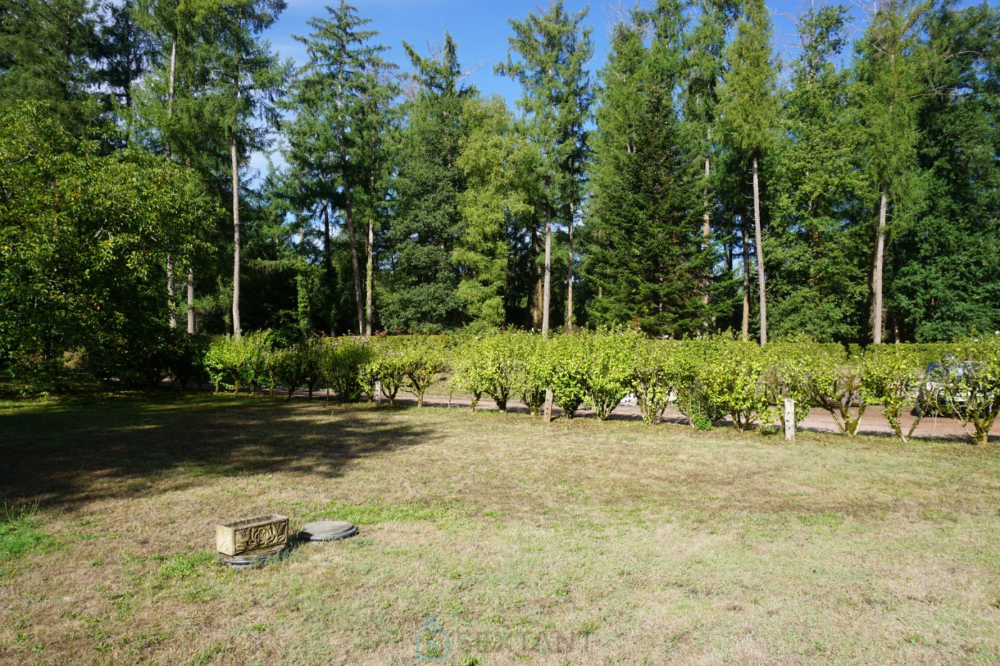 vente Domaine Piegut Pluviers - Photo 8