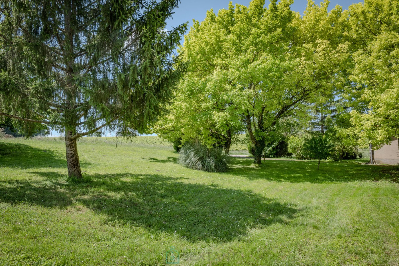 vente Maison de maître Segonzac - Photo 9