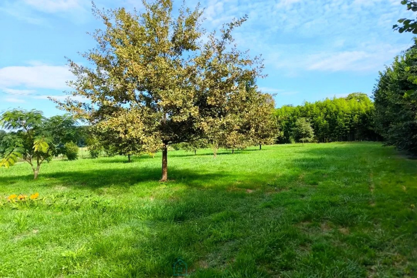 vente Maison Mouleydier - Photo 12