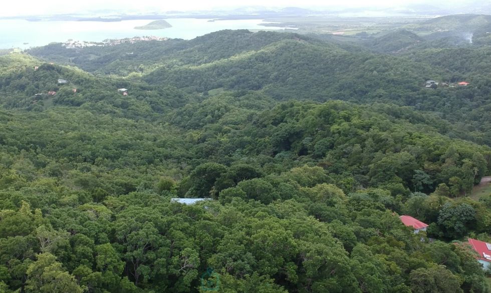 vente Les Trois Ilets