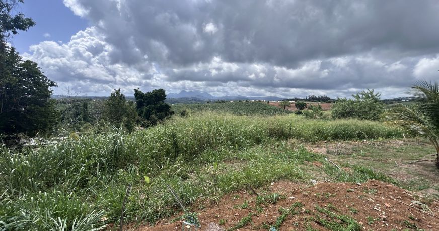 vente Maison individuelle Le Lamentin