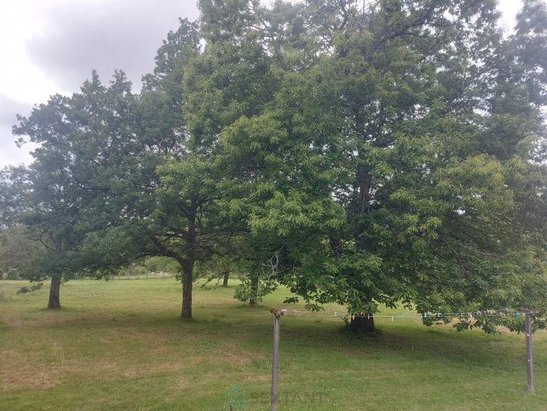 vente Maison de campagne Saint Pierre De Frugie - Photo 4