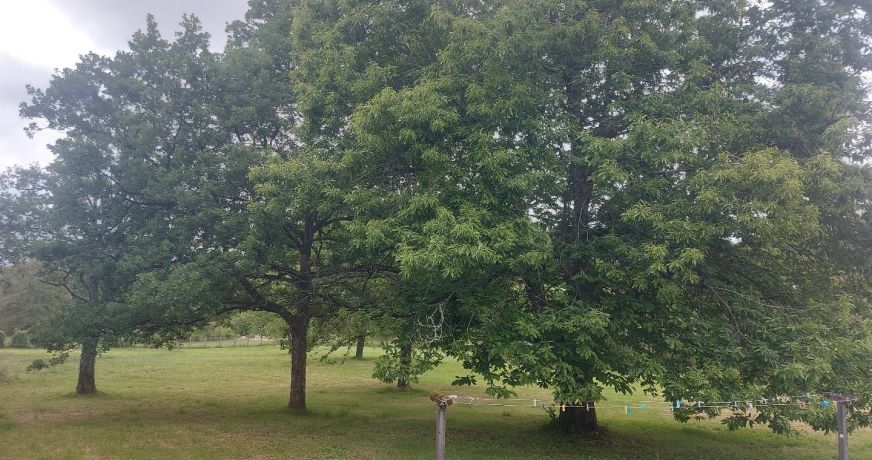 vente Maison de campagne Saint Pierre De Frugie