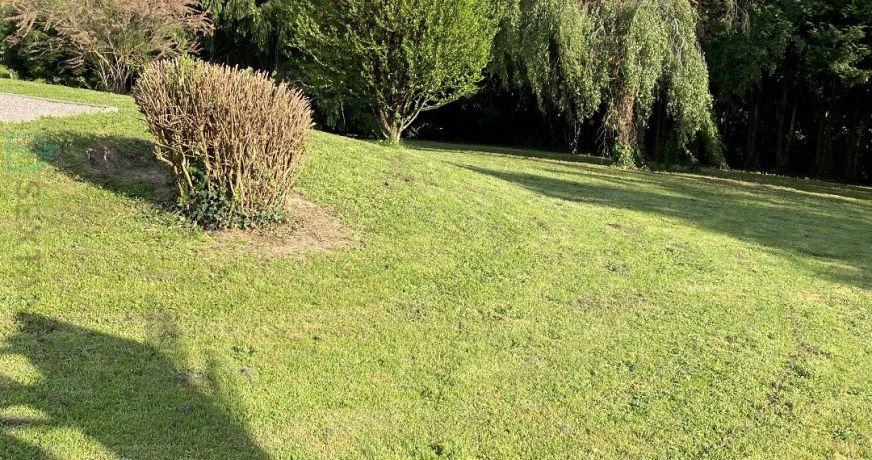 vente Maison individuelle Couzeix