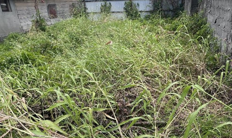 vente Fort De France