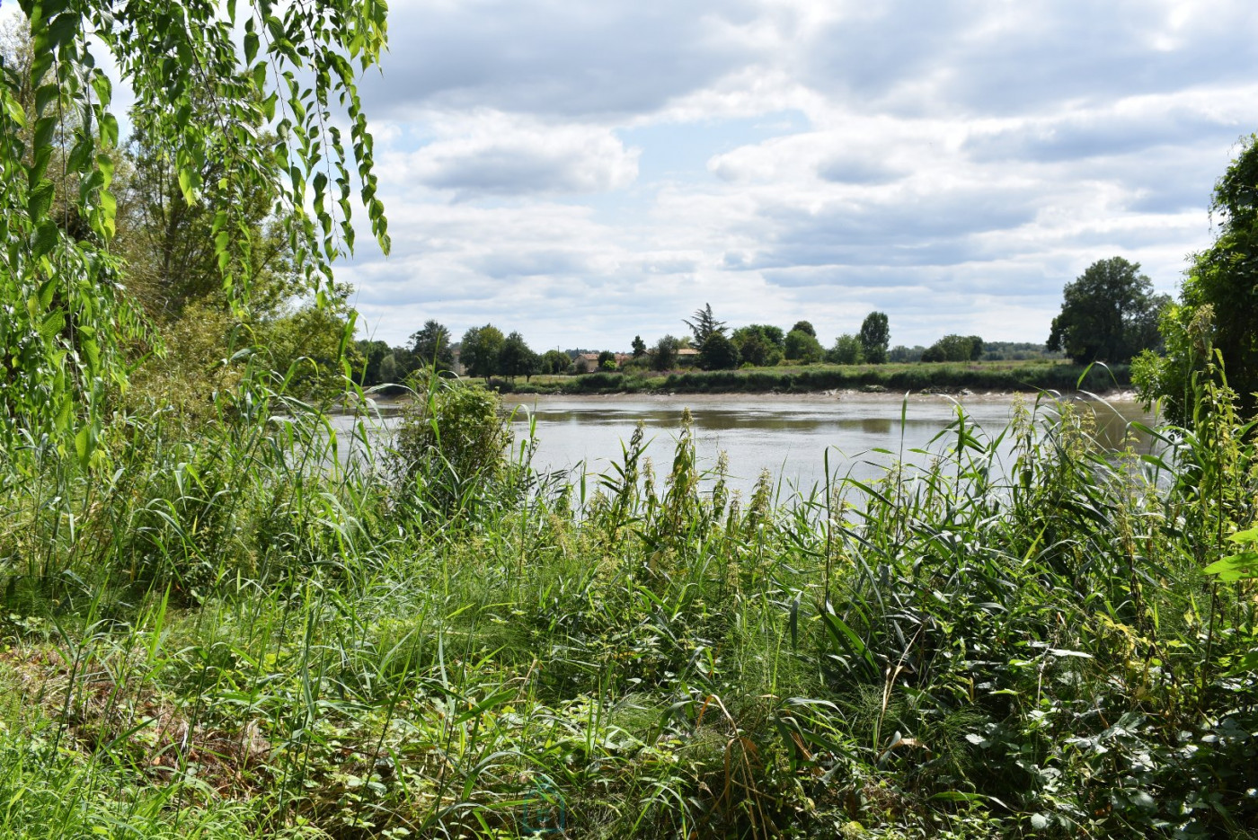 vente Maison Moulin-neuf - Photo 3