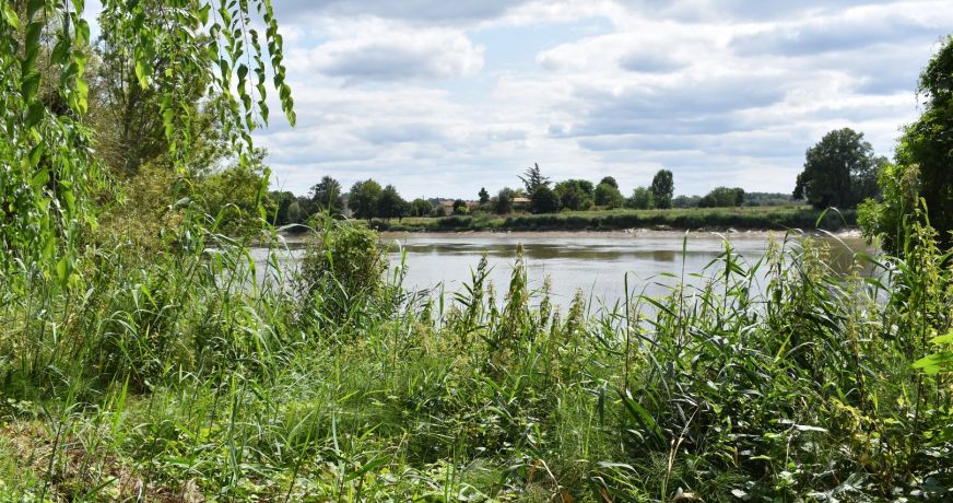 vente Maison Moulin-neuf