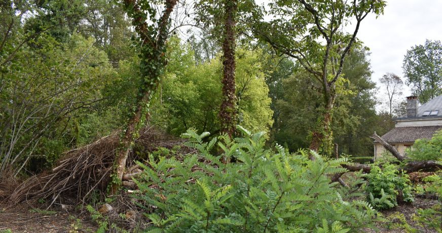 vente Maison Moulin-neuf