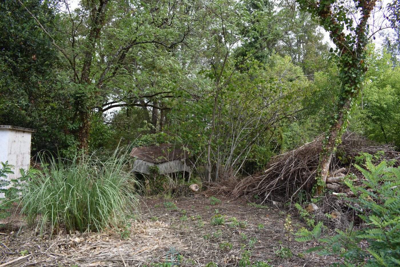 vente Maison Moulin-neuf - Photo 18