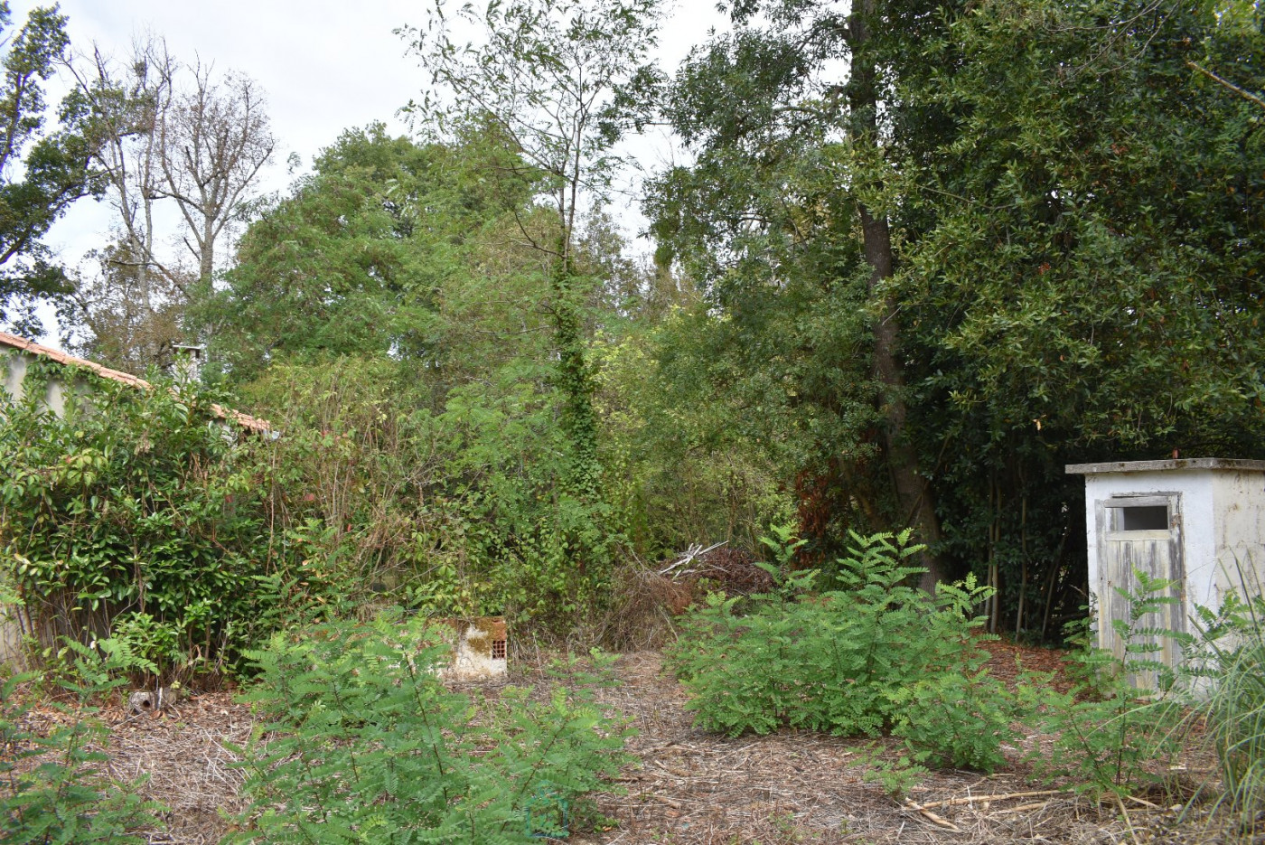 vente Maison Moulin-neuf - Photo 19