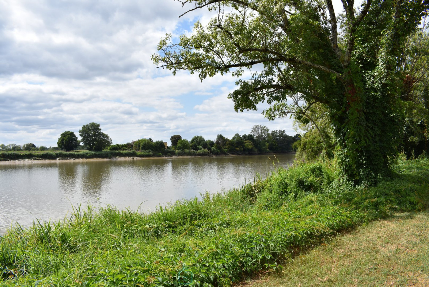 vente Maison Moulin-neuf - Photo 4