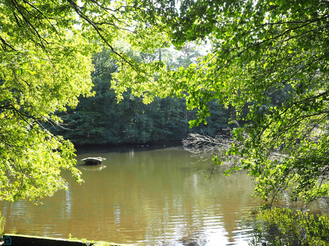 vente Manoir Hennebont - Photo 13