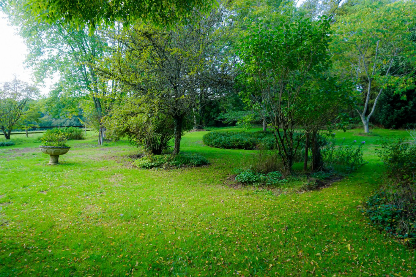 vente Propriété Saint Jory De Chalais - Photo 11