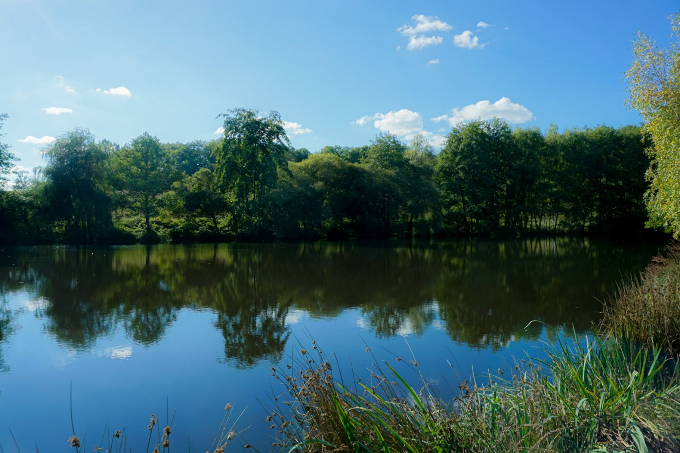vente Propriété Saint Jory De Chalais - Photo 14