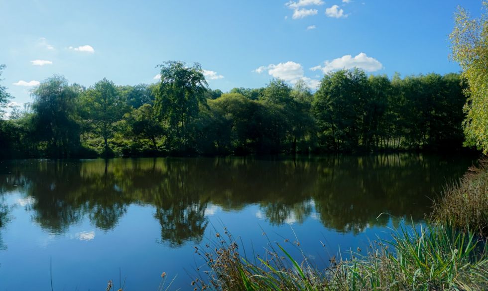 vente Saint Jory De Chalais