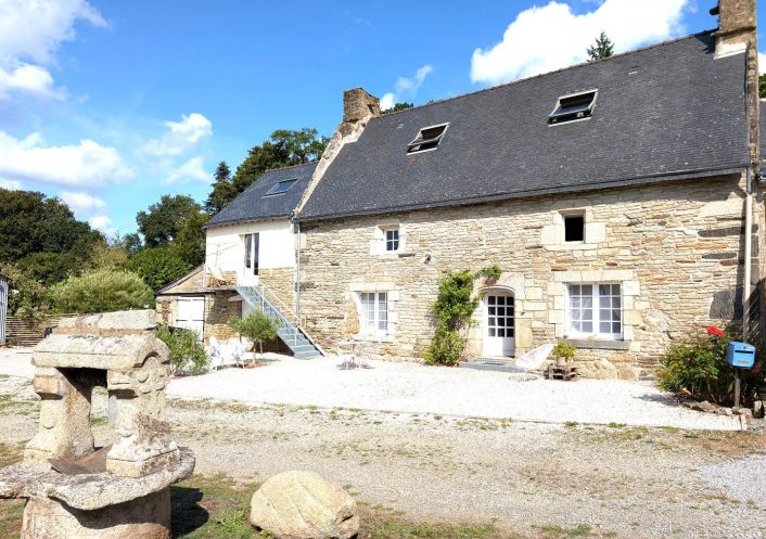 vente Maison en pierre Quistinic