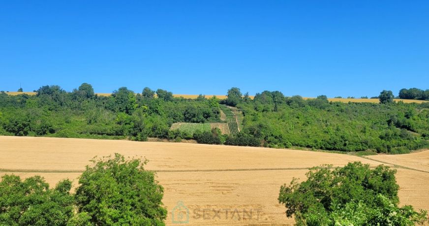 vente Terrain viticole Serval