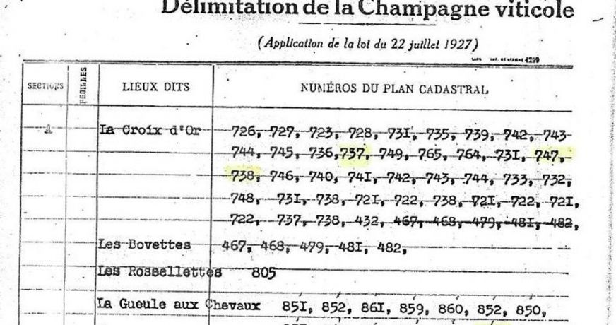 vente Terrain viticole Serval