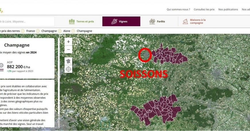 vente Terrain viticole Serval