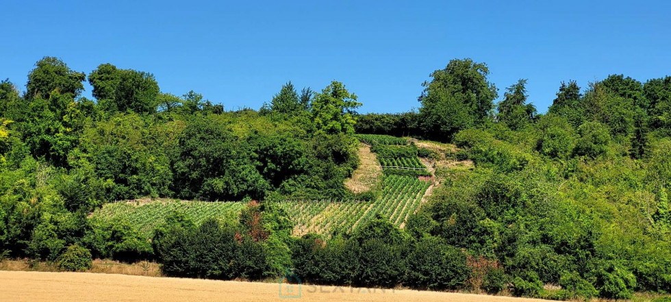 vente Terrain viticole Chateau Thierry - Photo 1