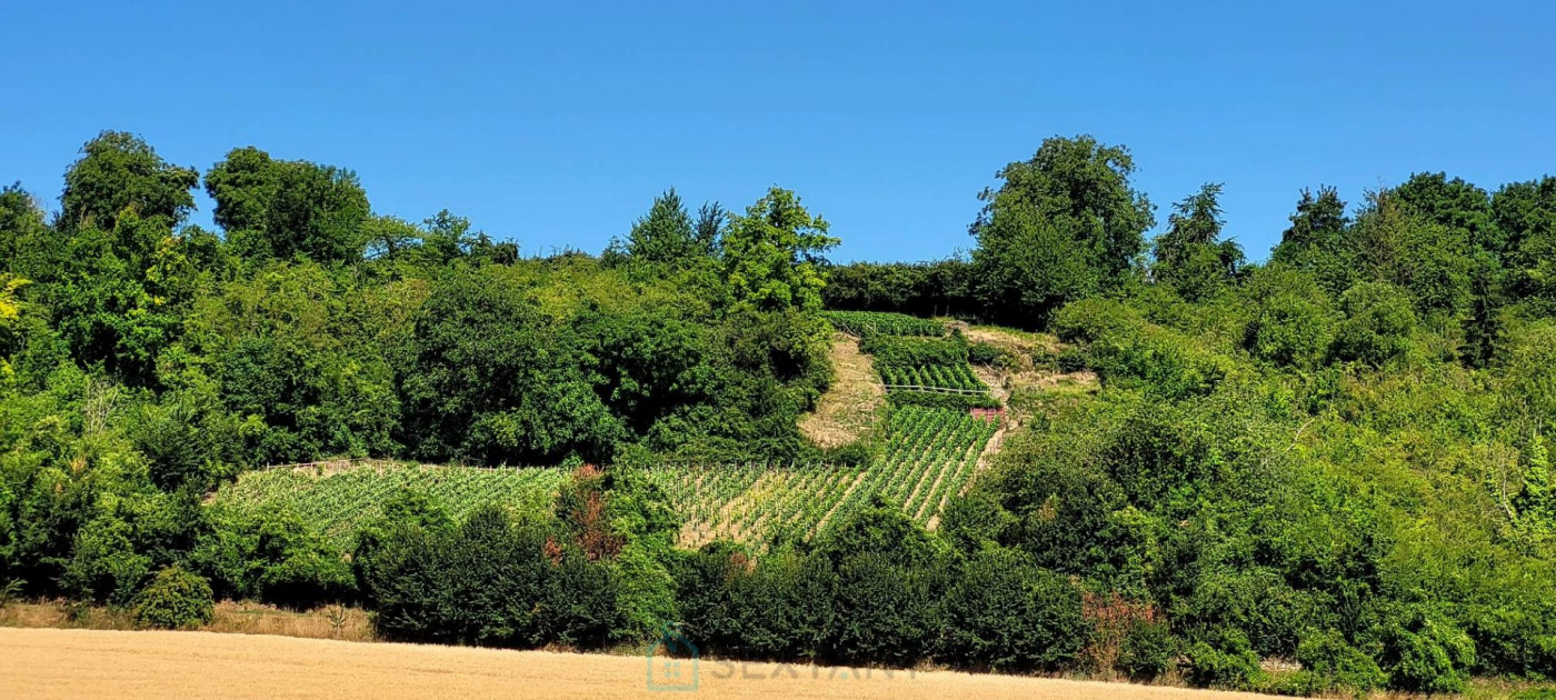 vente Terrain viticole Chateau Thierry - Photo 1