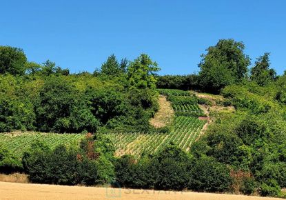 vente Terrain viticole Serval