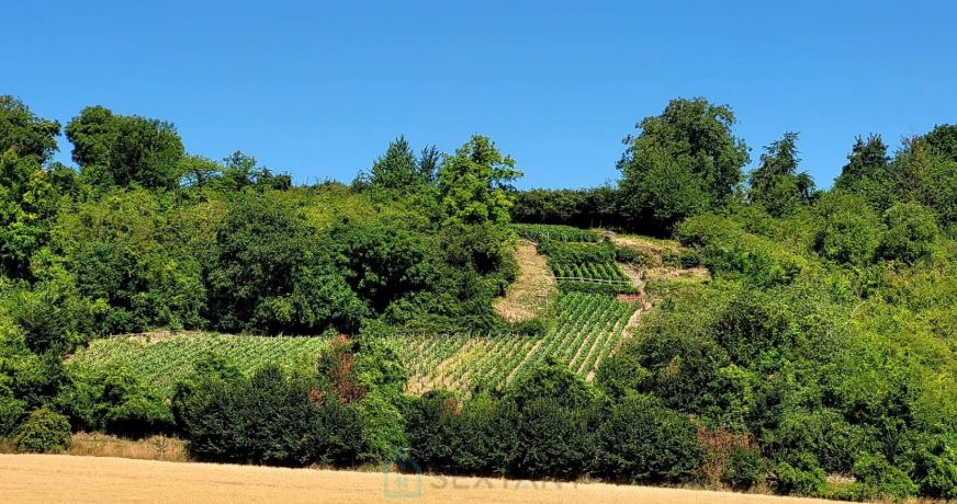 vente Terrain viticole Chateau Thierry