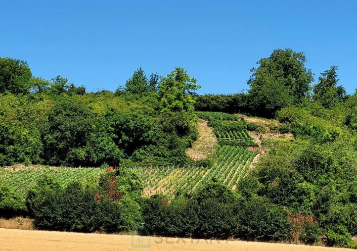 vente Terrain viticole Serval