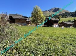 vente Le Grand Bornand