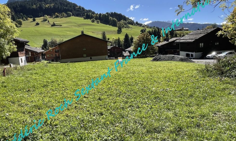 vente Le Grand Bornand