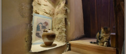 vente Domaine Cause De Clerans