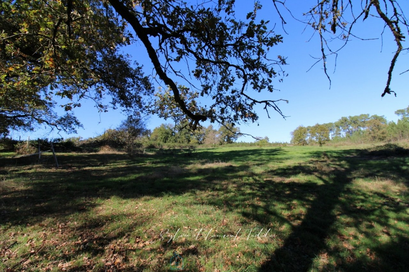 vente Propriété Montguyon - Photo 1