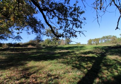 vente Propriété Montguyon