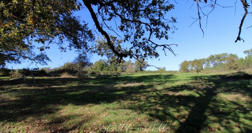 vente Propriété Montguyon