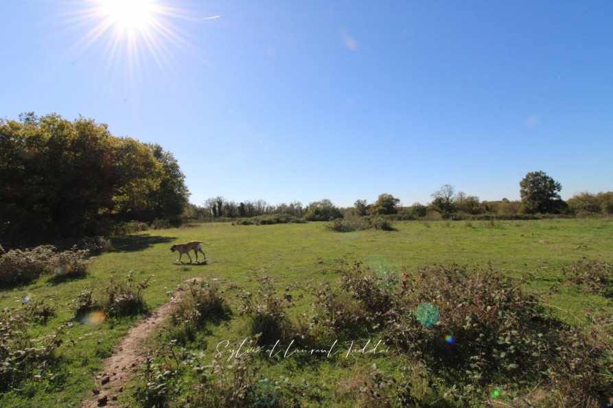 vente Propriété Montguyon - Photo 3