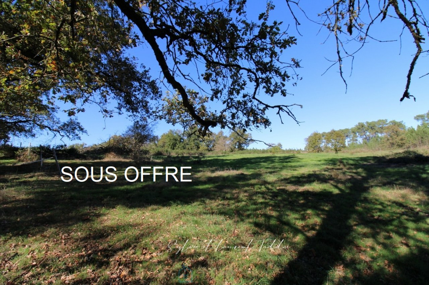 vente Propriété Montguyon - Photo 1