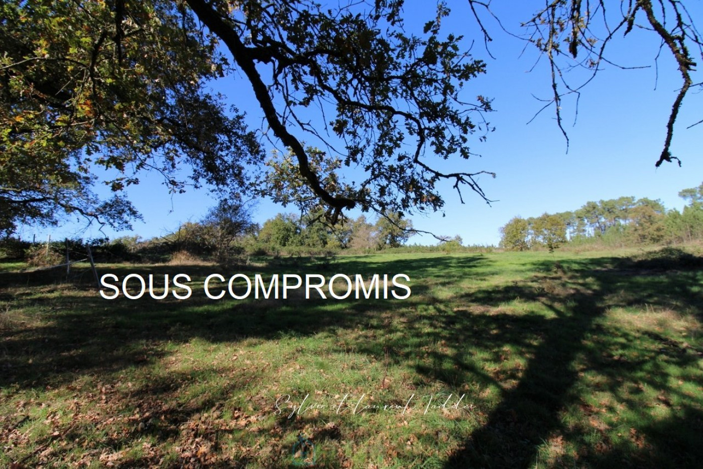 sale Propriété Montguyon - Photo 1