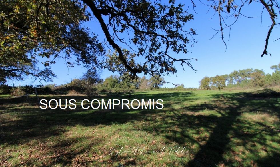 vente Montguyon