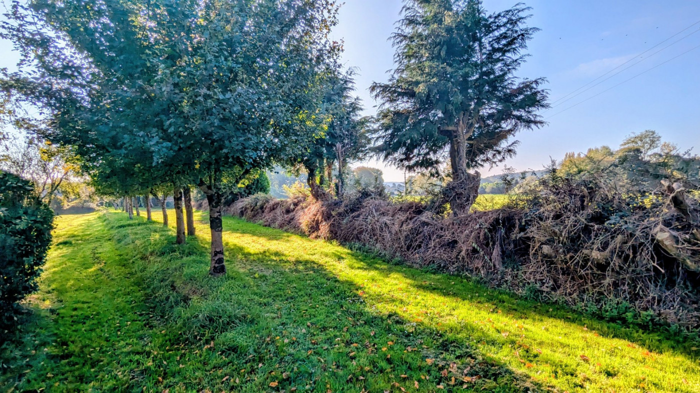 vente Maison de campagne Melrand - Photo 9