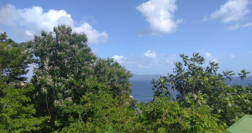 vente Maison individuelle Schoelcher