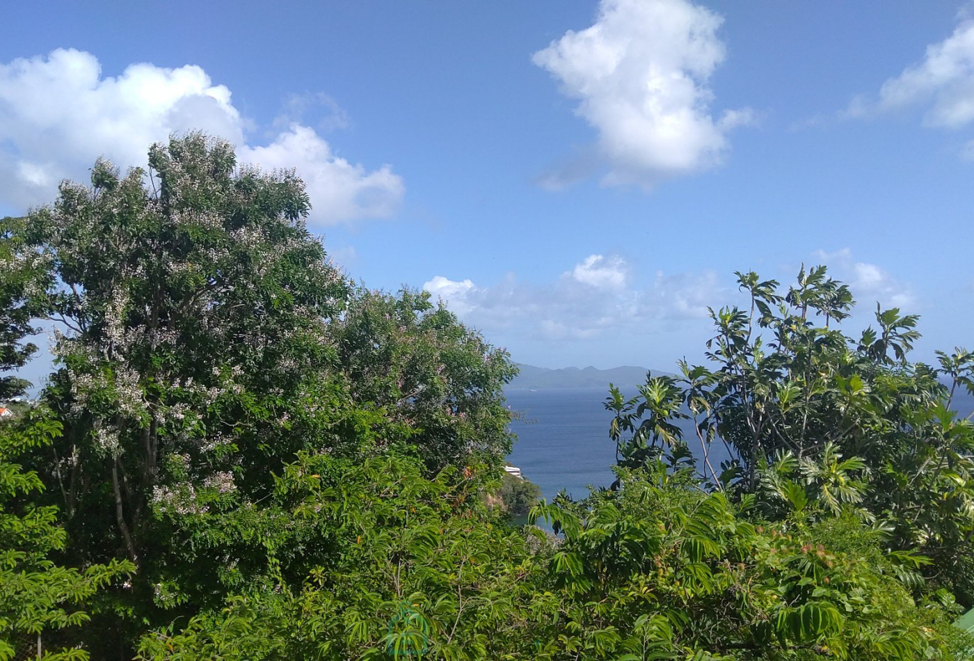 vente Maison individuelle Schoelcher - Photo 6