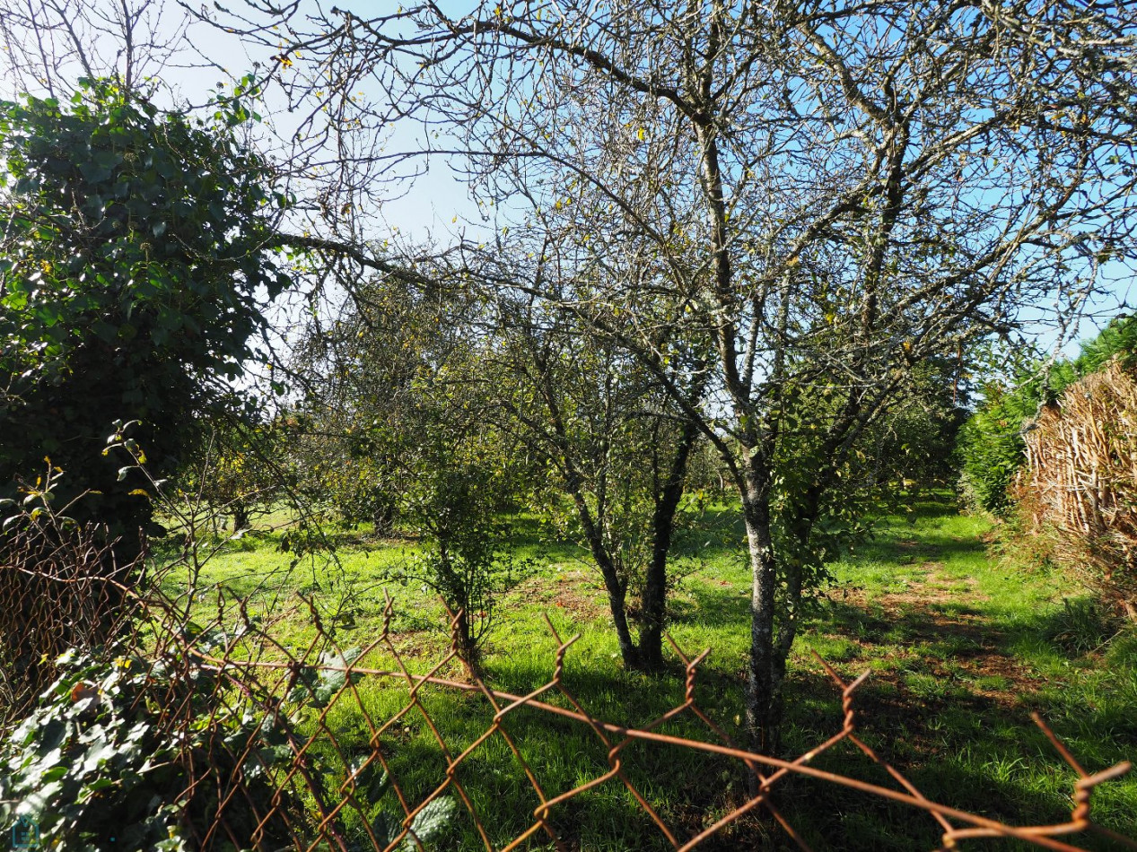 vente Terrain constructible Guern - Photo 3