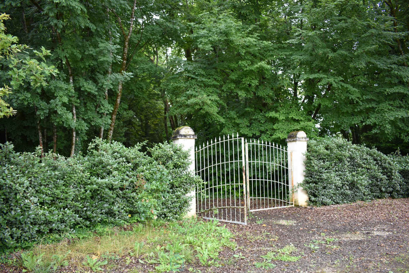 vente Château Sorges - Photo 12