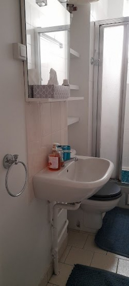 vente Appartement ancien Paris 15eme Arrondissement - Photo 10