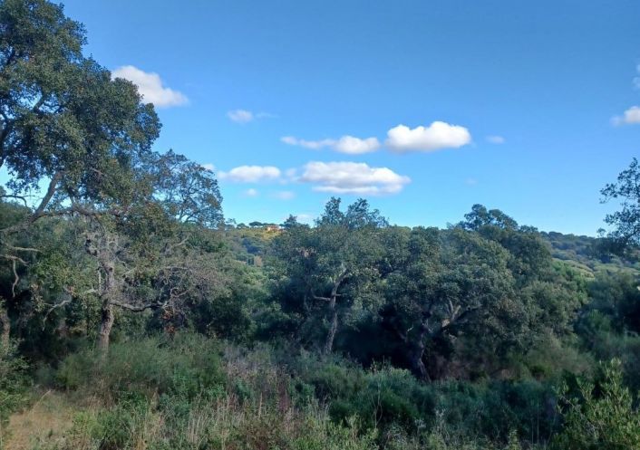 vente Terrain Ramatuelle