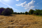 vente Terrain constructible Corgnac Sur L'isle