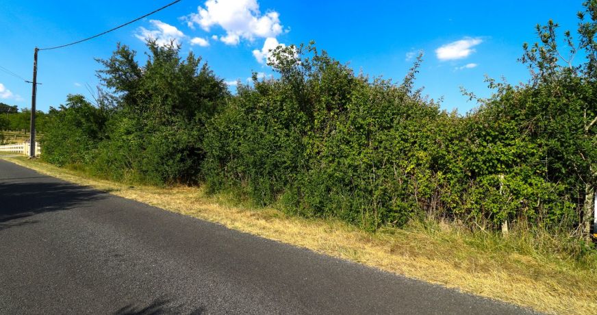 vente Terrain constructible Corgnac Sur L'isle